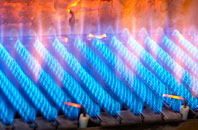 Dalriach gas fired boilers